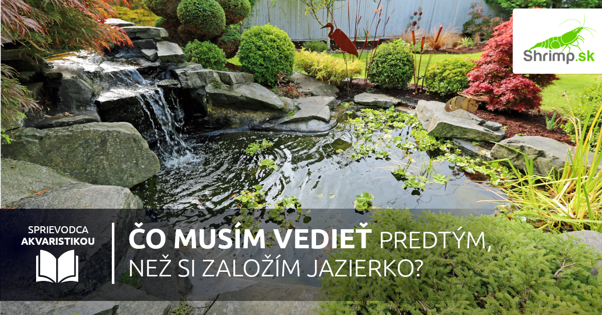 zahradne-jazierko-tipy-a-rady