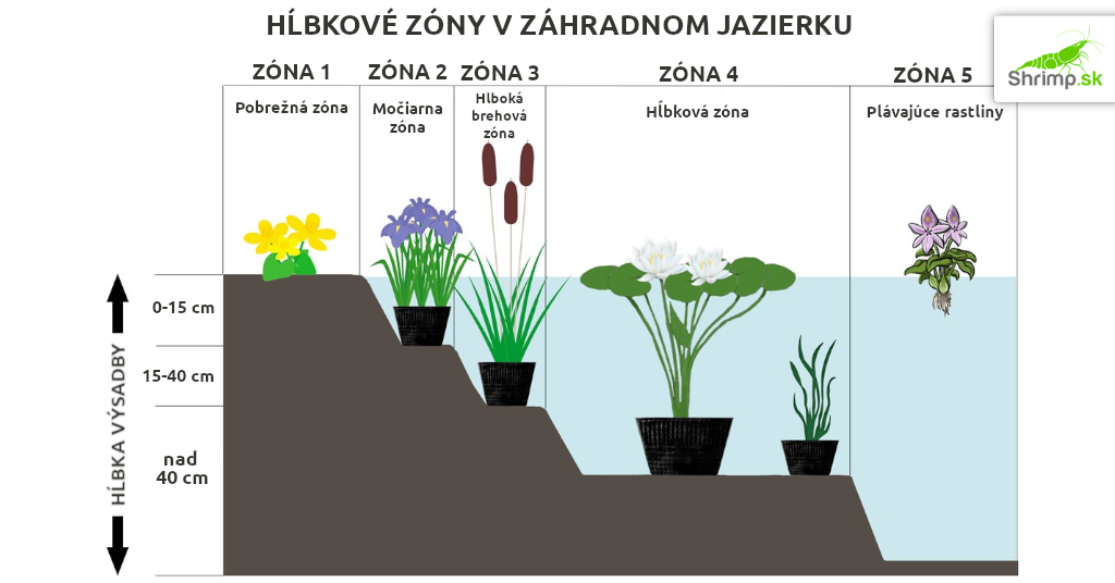hlbkove-zony-jazierko