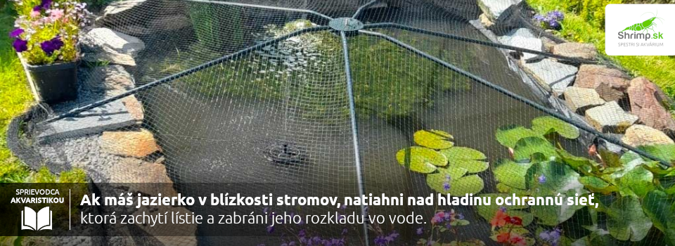 zahradne-jazierka-ochrana-v-zime