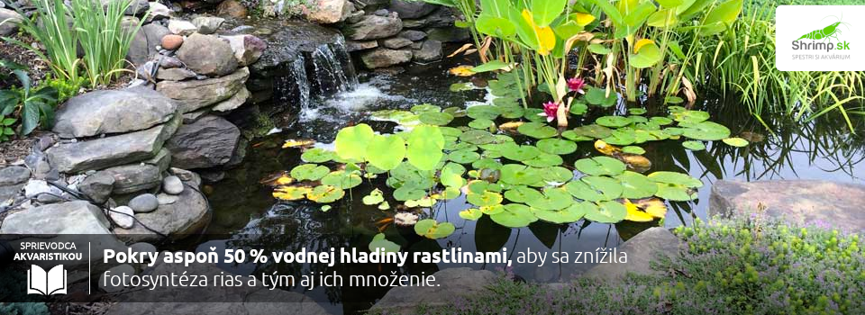 zahradne-jazierko-ako-sa-zbavit-rias
