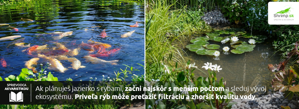 zahradne-jazierko-ryby-do-jazierka
