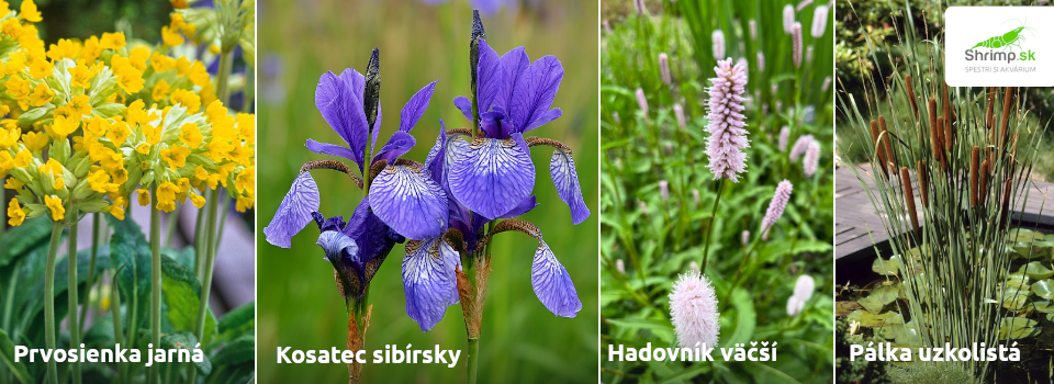pobrezna-zona-zahradne-jazierko