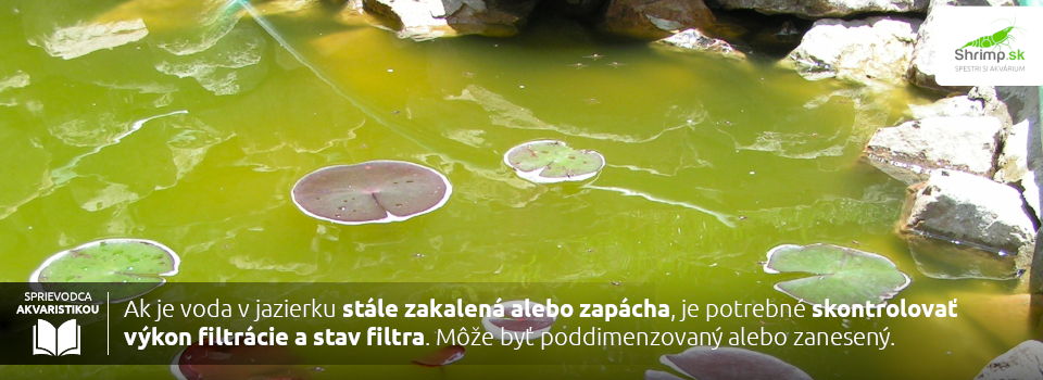 zahradne-jazierko-problemy