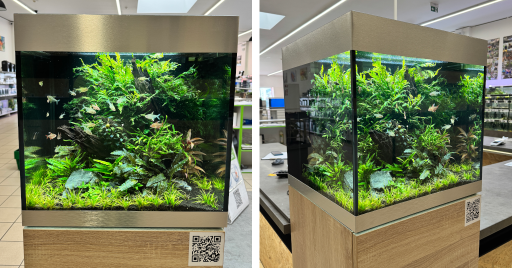 oase-akvarium