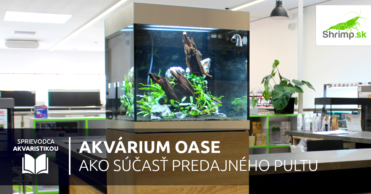 Akvárium Oase Highline