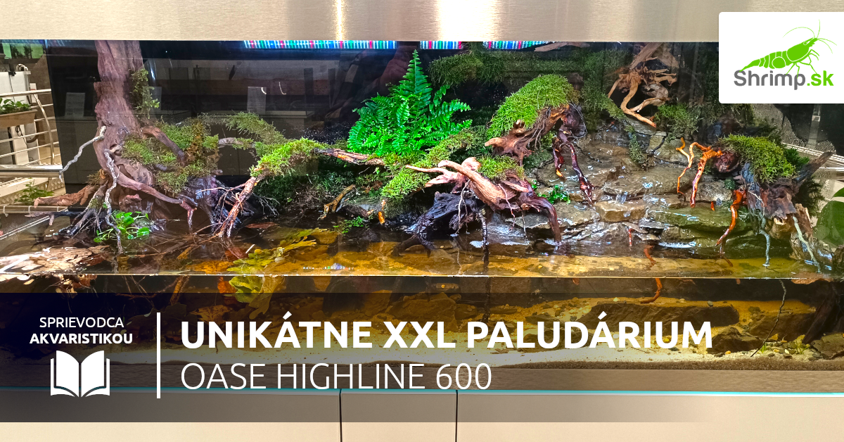 paludarium-oase-highline-600