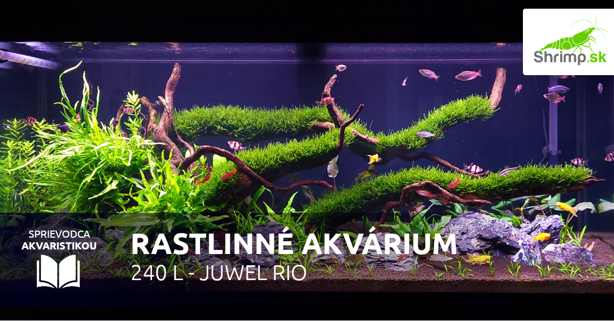 Rastlinné akvárium JUWEL 240 litrov