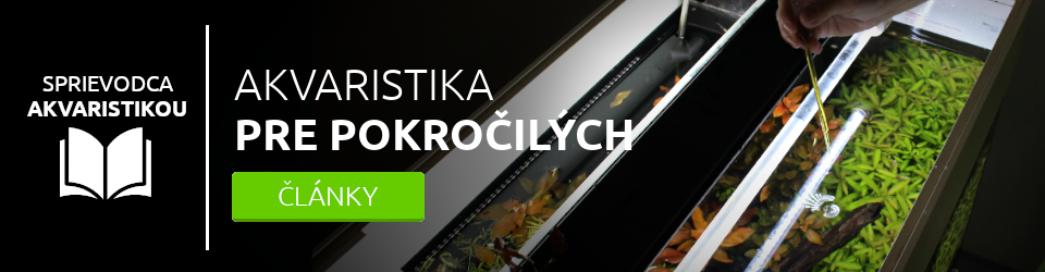 Akvaristika pre pokročilých