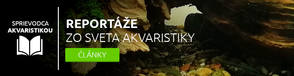 Reportáže zo sveta akvaristiky