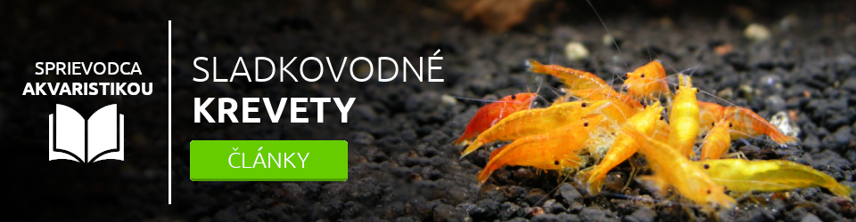 Sladkovodné krevety