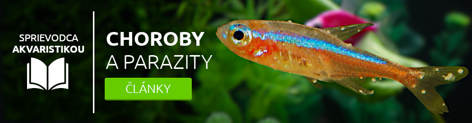 choroby a parazity
