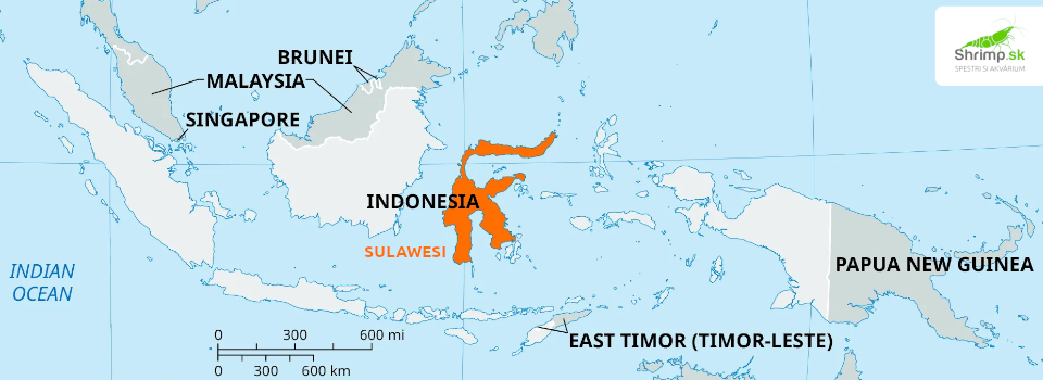 sulawesi-indonezia