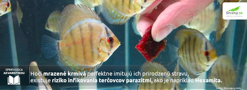 krmenie-tercovcov