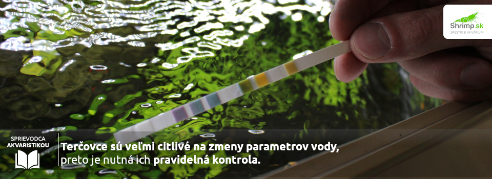 parametre-vody-pre-tercovce