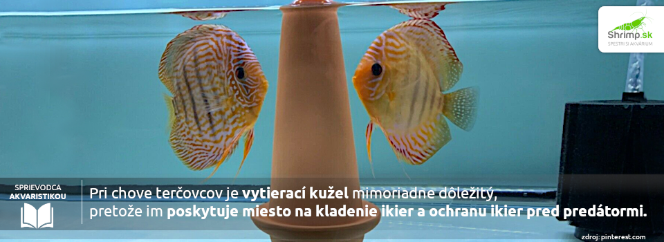 vytieraci-kuzel-je-super-pomocnik