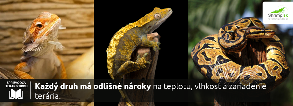 terarijne-zvierata