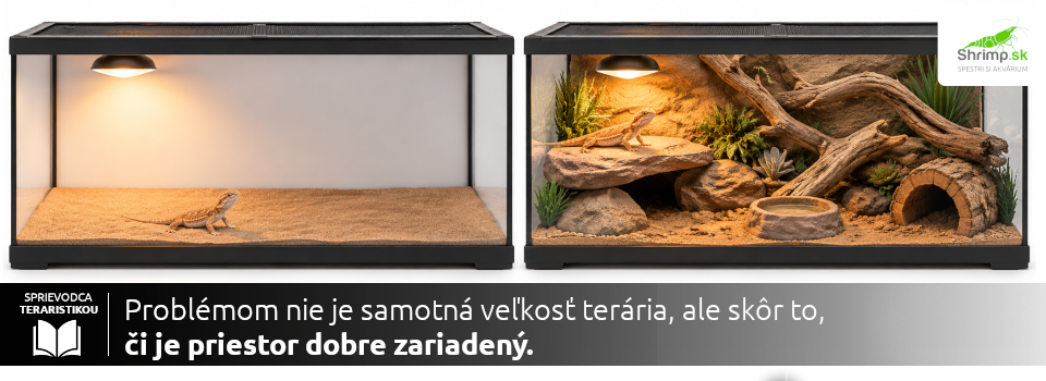 zaraiadene-terarium-agama