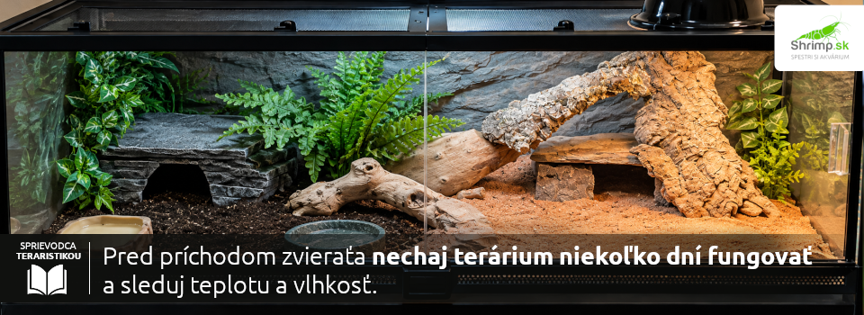 terarium