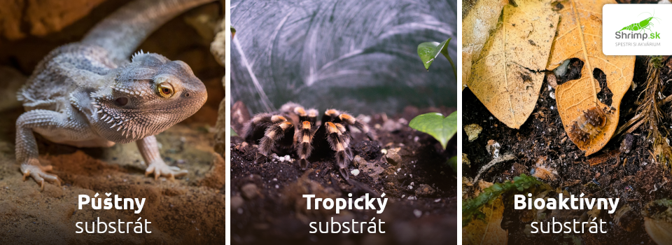terarium-subtraty-do-teraria
