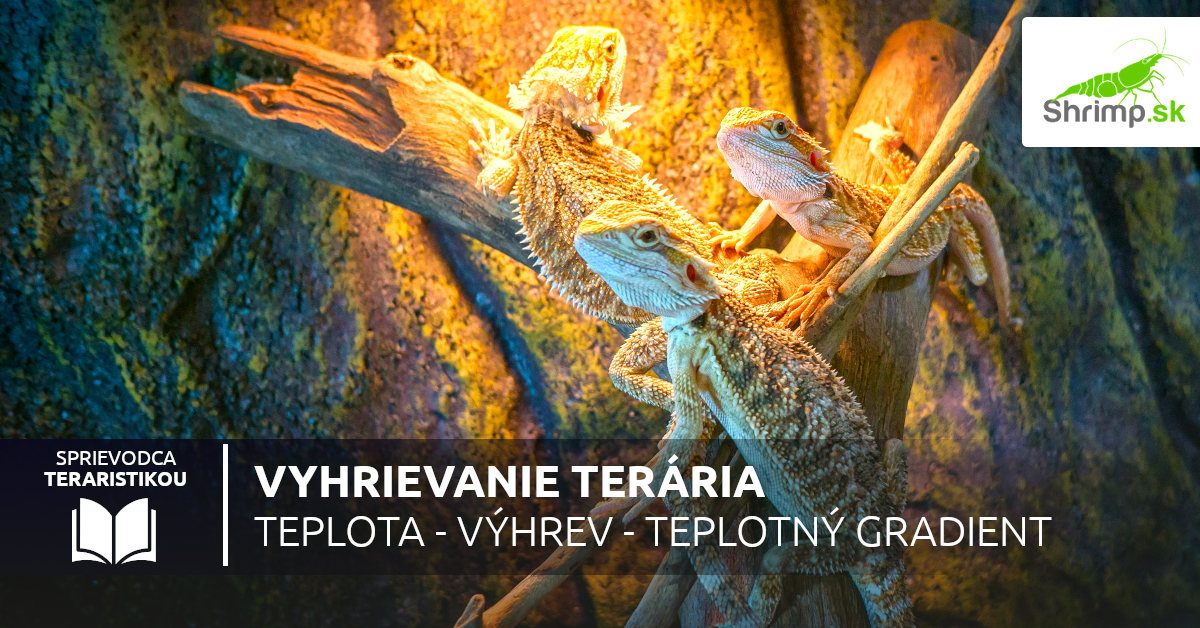 ako-vyhrievat-terarium