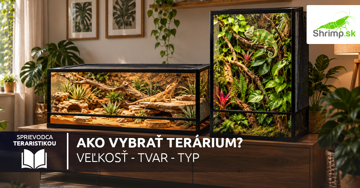 ako-vybrat-terarium