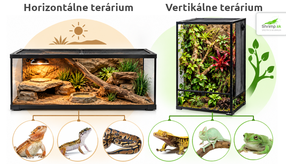 horizontalne-terarium-vertikalne-terarium
