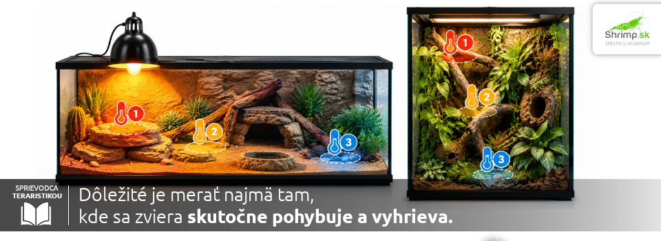 ako-merat-tepllotu-v-terariu