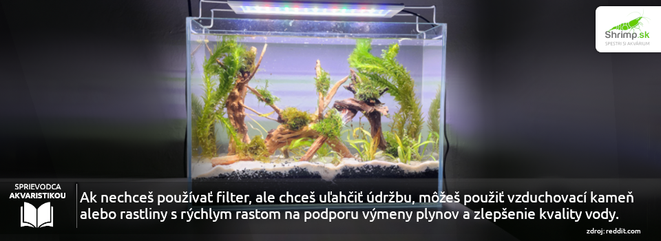 akvarium-bez-filtra