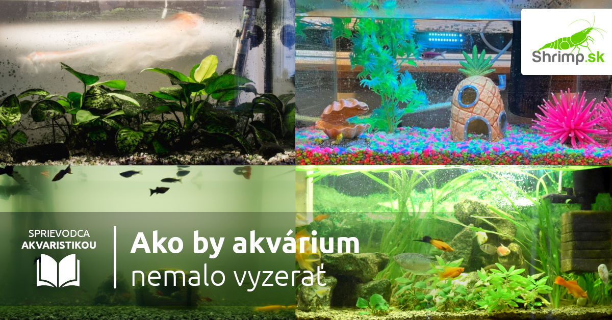 ako-nezariadzovat-akvarium