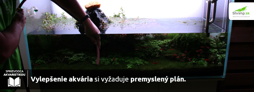 prerabanie-akvaria-si-vyžaduje-plan