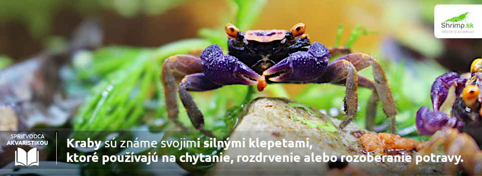 kraby-krmivo