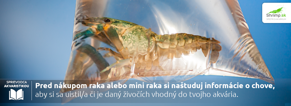 nakup-rakov-do-akvaria