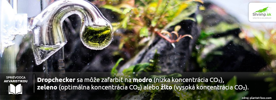 dropchecker-farby-modra-zlta-zelena