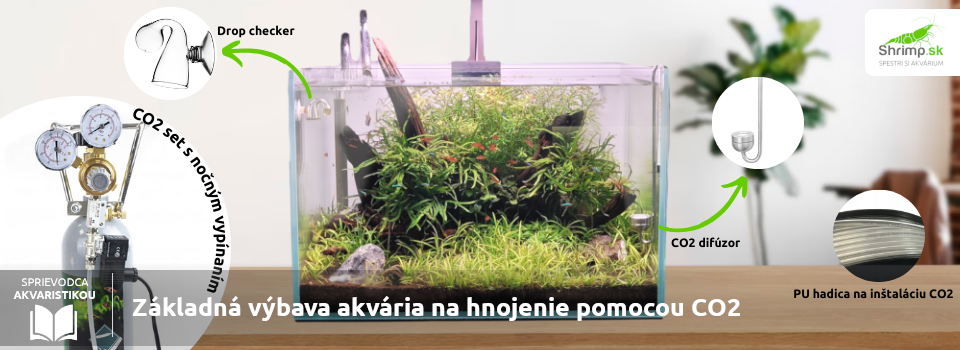 zakladna-vybava-akvaristu-pre-hnojenie-co2