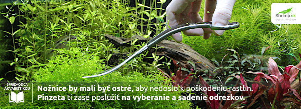 akvarijne-naradie-na-strihanie