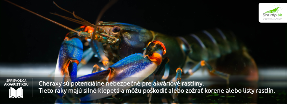 raky-nie-su-vhodne-k-rastlinam