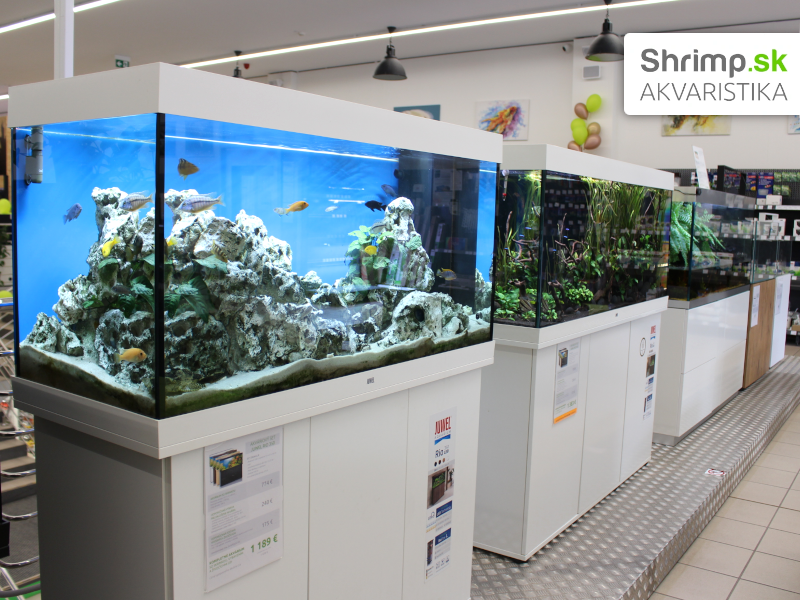 Akvaristika Shrimp v Žiline - ukážka akvárií