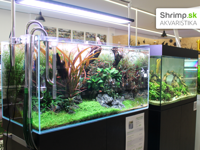 Akvaristika Shrimp v Žiline - ukážka akvárií