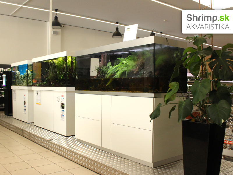 Akvaristika Shrimp v Žiline - ukážka akvárií