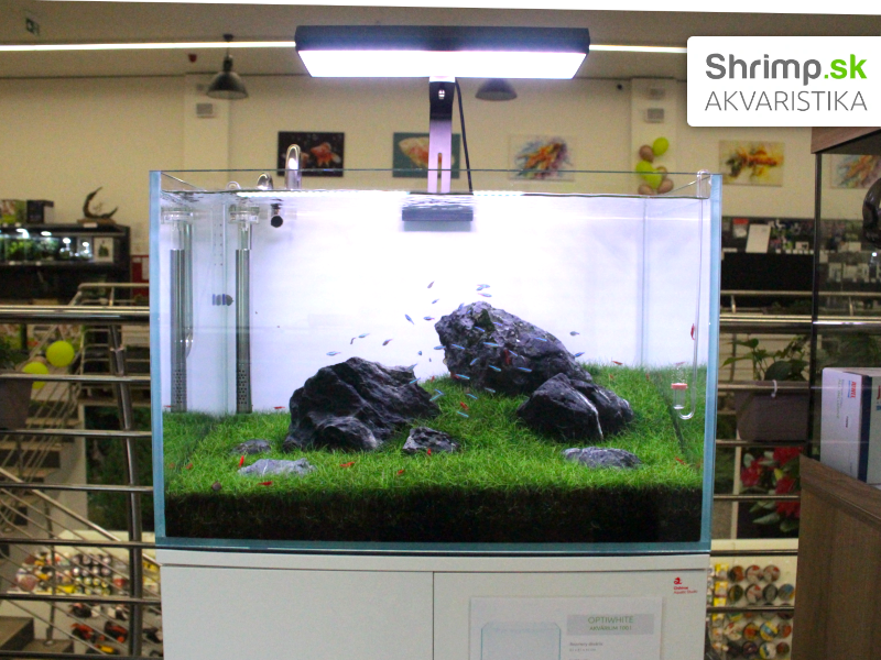 Akvaristika Shrimp v Žiline - ukážka akvárií
