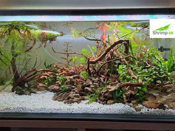 inšpirácie od akvaristov č. 27