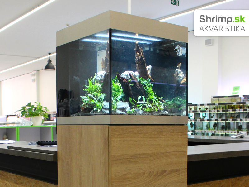 Akvaristika Shrimp v Žiline - OASE akvárium