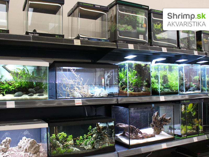 Akvaristika Shrimp v Žiline - predaj hotových akvárií