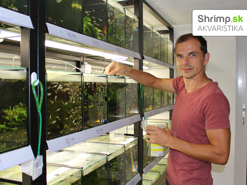 Zakladateľ akvaristiky Shrimp - Ondrej Svoboda