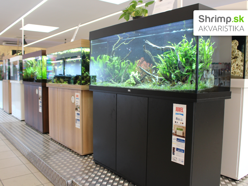 Akvaristika Shrimp v Žiline - ukážka akvárií
