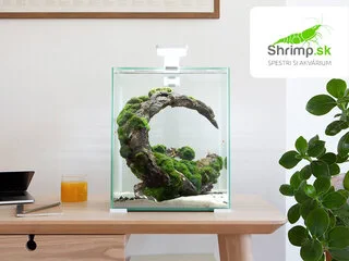 Akváriový set AQUAEL SHRIMP Day & Night 30 biele (30 l)