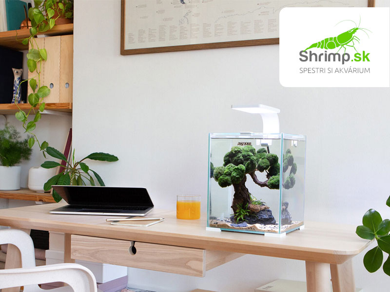 Akváriový set AQUAEL SHRIMP Day & Night 30 biele (30 l) 