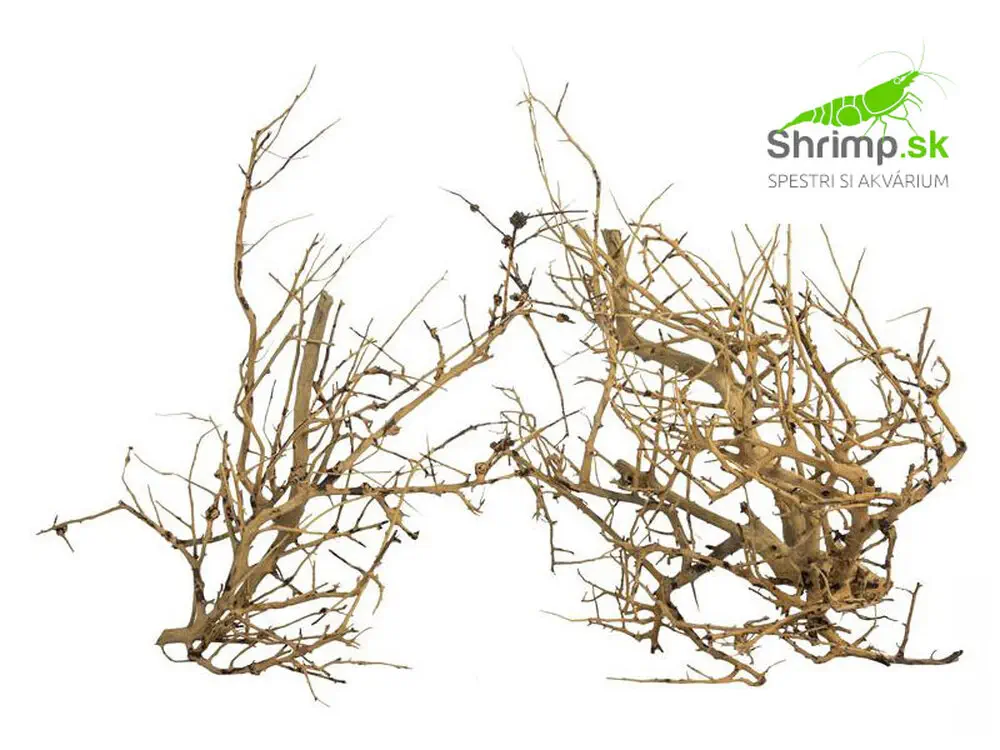 Branch Wood 0,1 kg