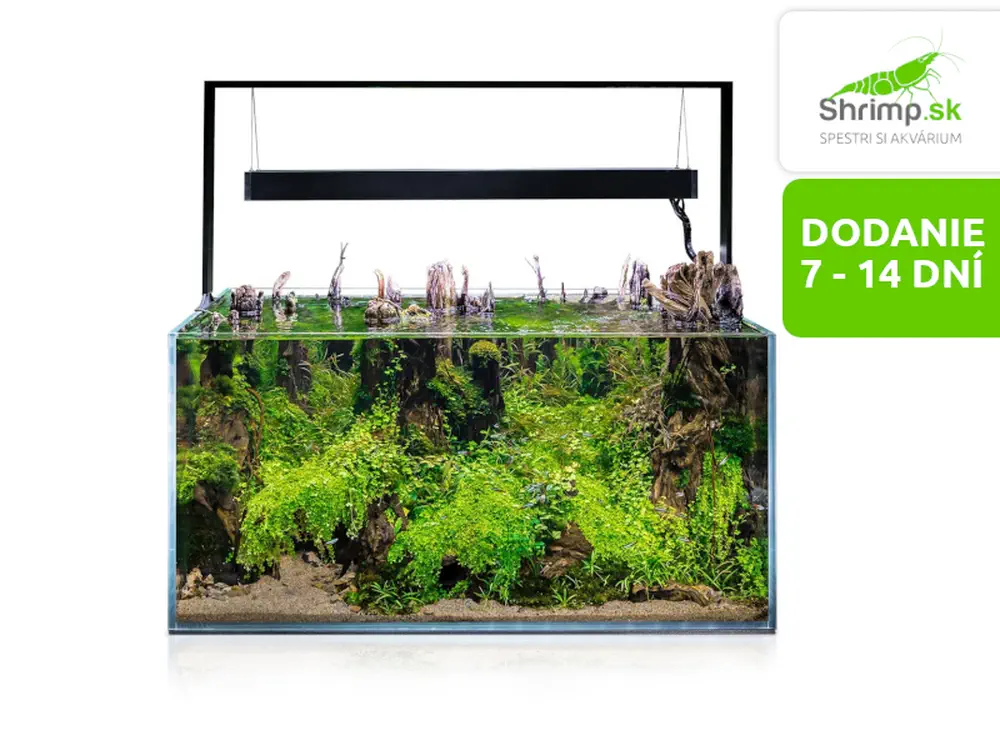 Aquael Akvárium set Ultrascape 90 Forest, 243 l