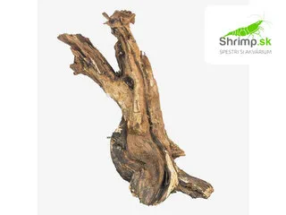 Drift Wood 1 ks (15 - 20 cm)